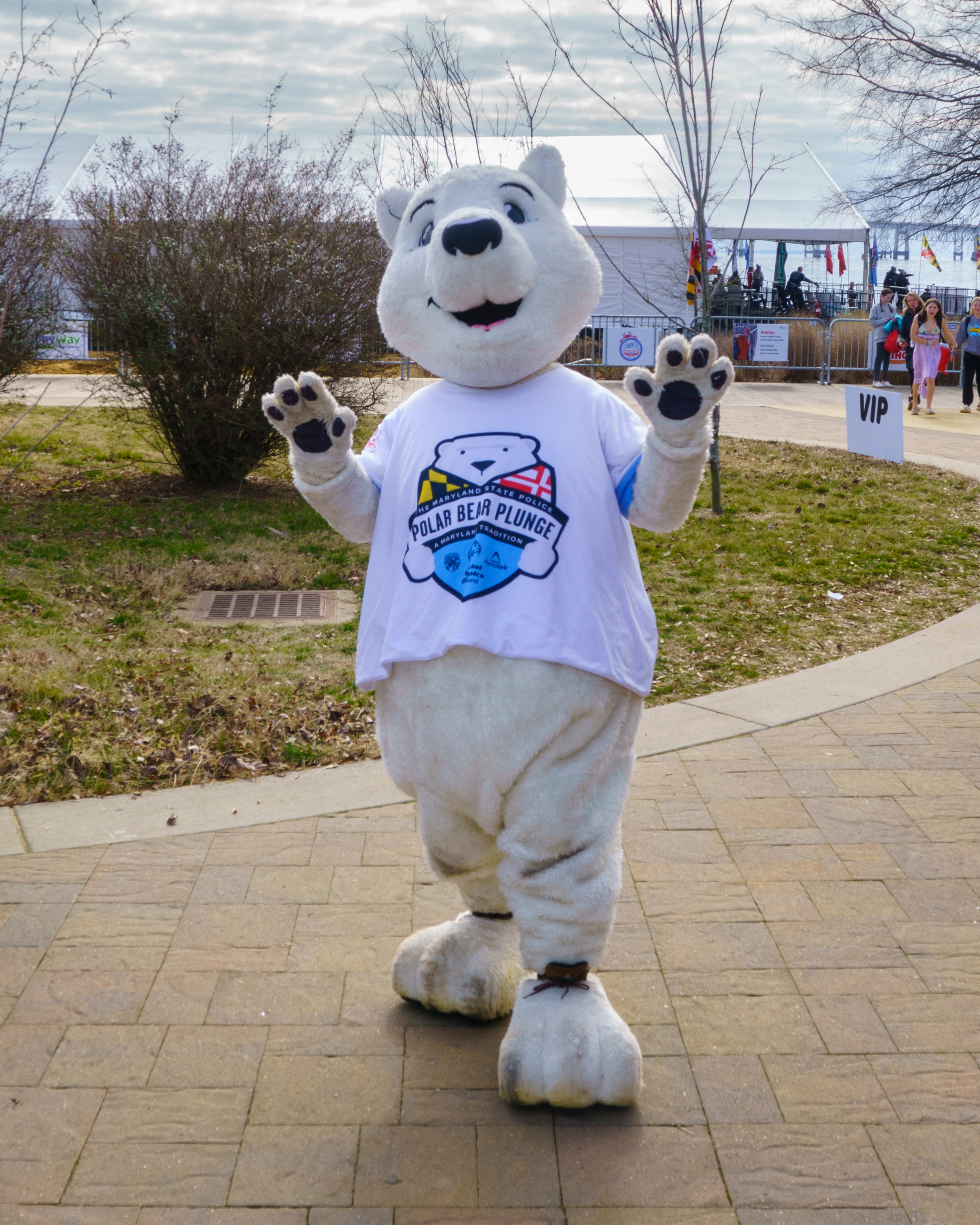 Polar Bear Plunge